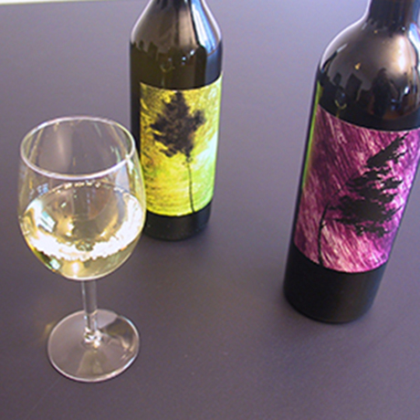 chasselas_syrah étiquettes vin, chasselas, syrah