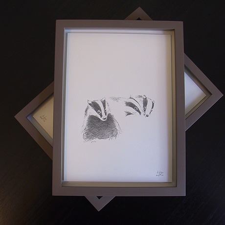 expoflon1 dessin animalier, dessin blaireau, blaireau, blaireaux, mustélidés