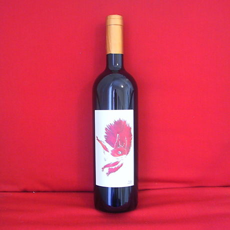 arvine arvine, écureuil